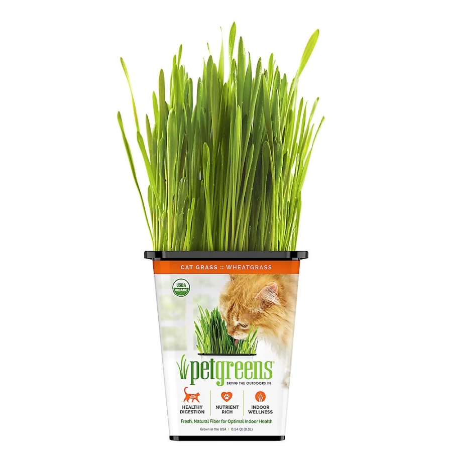 PetSmart Live Wheatgrass for Cats - Fresh Pet Greens for Indoor Cats