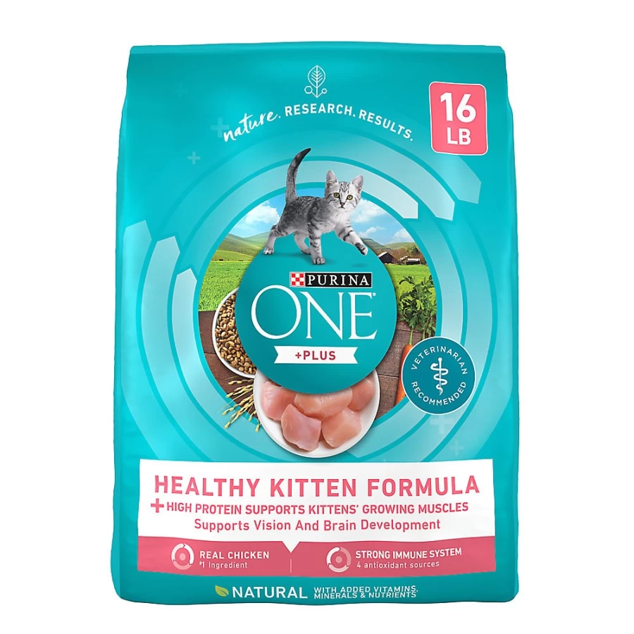 Purina ONE High-Protein Chicken Dry Cat Food for Healthy Kittens - Natural Kitten Food by PetSmart