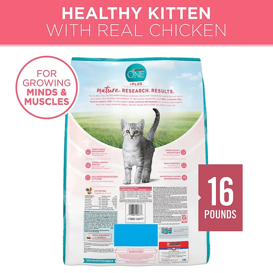 Purina ONE High-Protein Chicken Dry Cat Food for Healthy Kittens - PetSmart