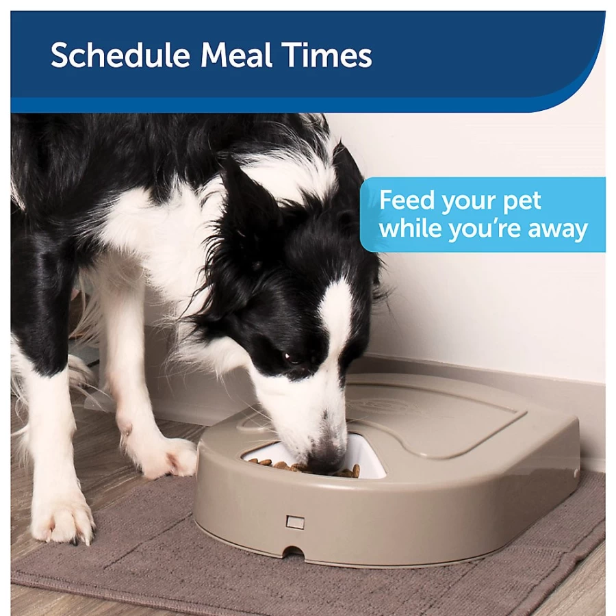 PetSmart 5-Meal Automatic Pet Feeder - Programmable Dog & Cat Food Dispenser by PetSafe Eatwell