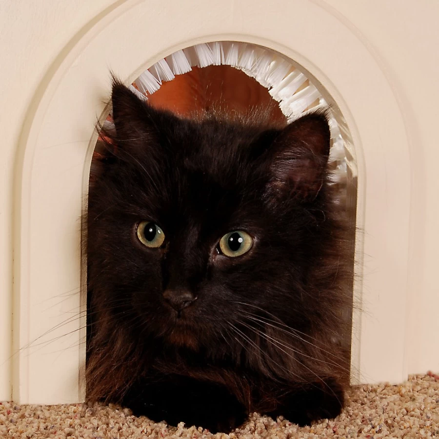 PetSmart Self-Cleaning Cat Hole Door - Automatic Litter Box Entry for Indoor Cats