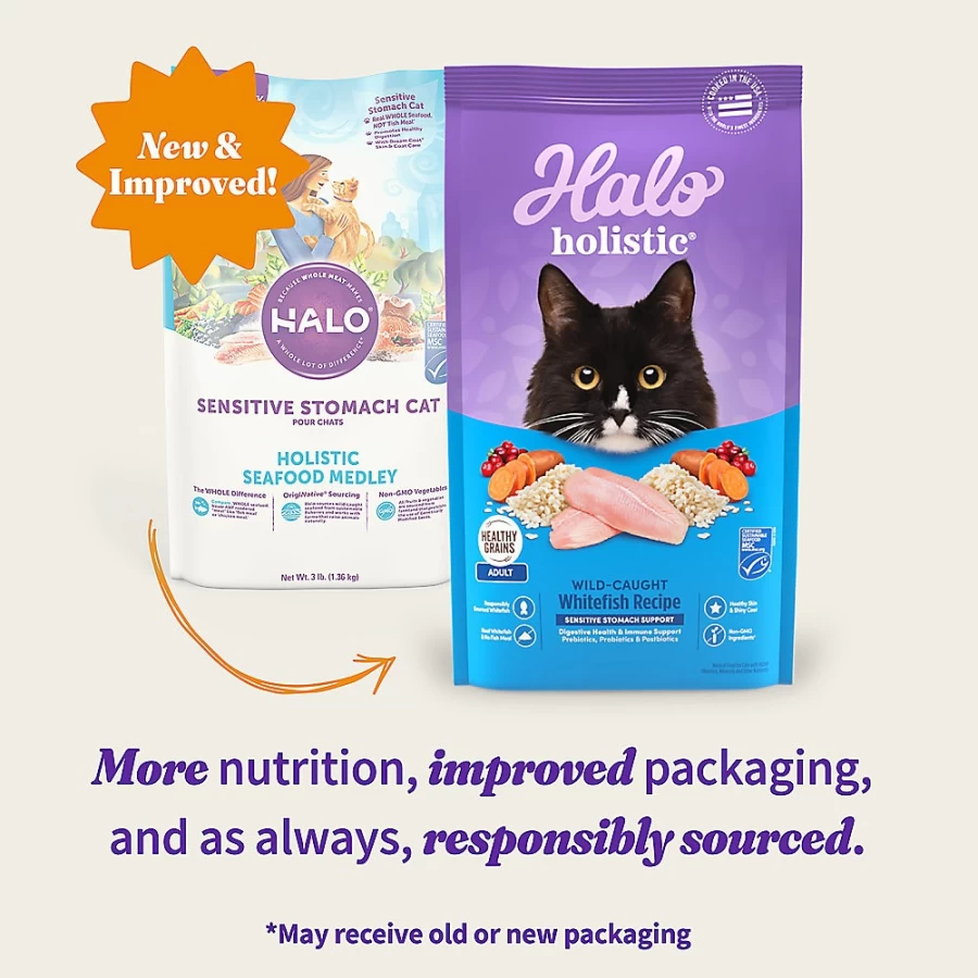 PetSmart HALO DreamCoat Sensitive Stomach Cat Food - Natural Holistic Seafood Medley for Digestive Health