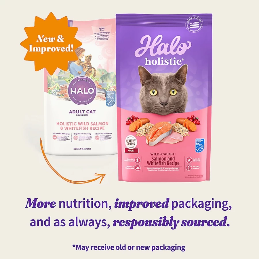 PetSmart HALO DreamCoat Adult Cat Food - Natural Holistic Wild Salmon & Whitefish Recipe for Healthy Skin & Coat