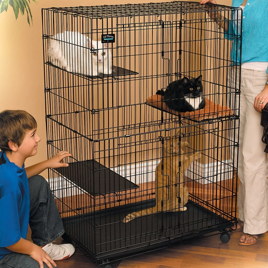 PetSmart Midwest Foldable Cat Playpen – Portable Indoor & Outdoor Pet Enclosure for Kittens