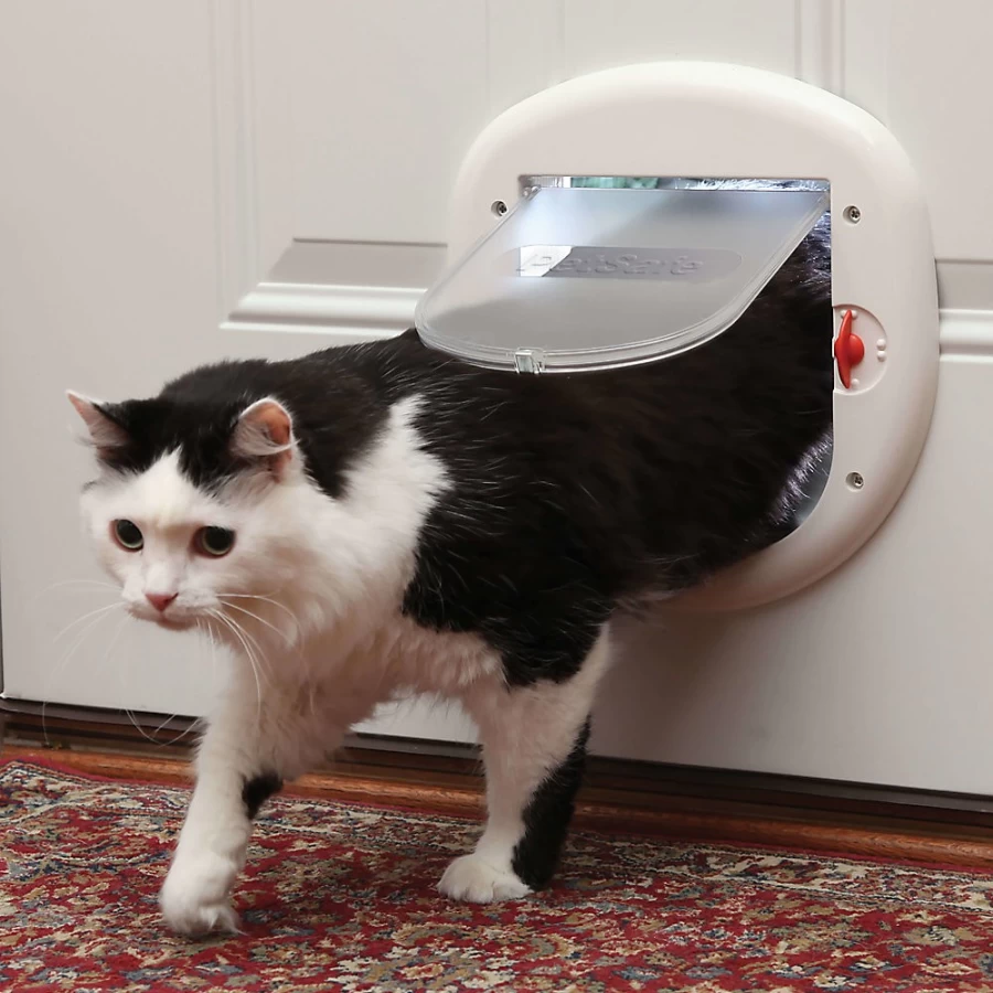 PetSmart Large 4-Way Cat Flap for Big Cats - PetSafe Design