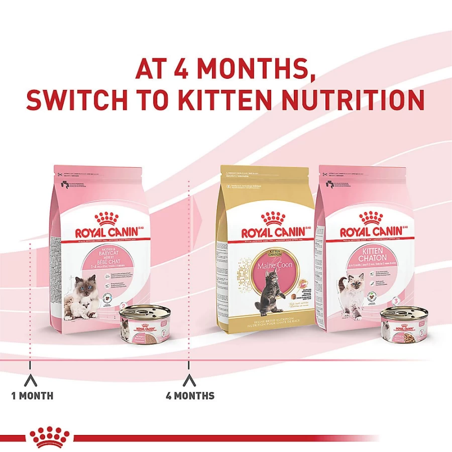 PetSmart Royal Canin Mother & Babycat Ultra Soft Mousse in Sauce Wet Cat Food, 3 oz - High Protein Kitten & Nursing Cat Food