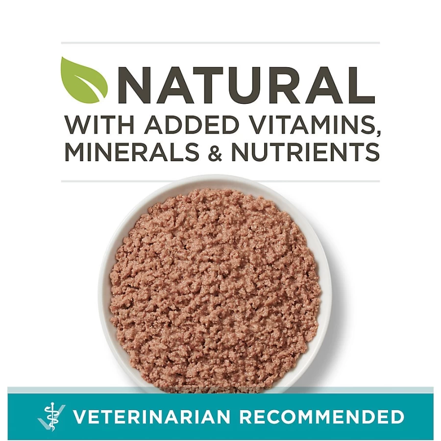 Purina ONE Natural All Life Stages Wet Cat Food 3.33 oz - PetSmart