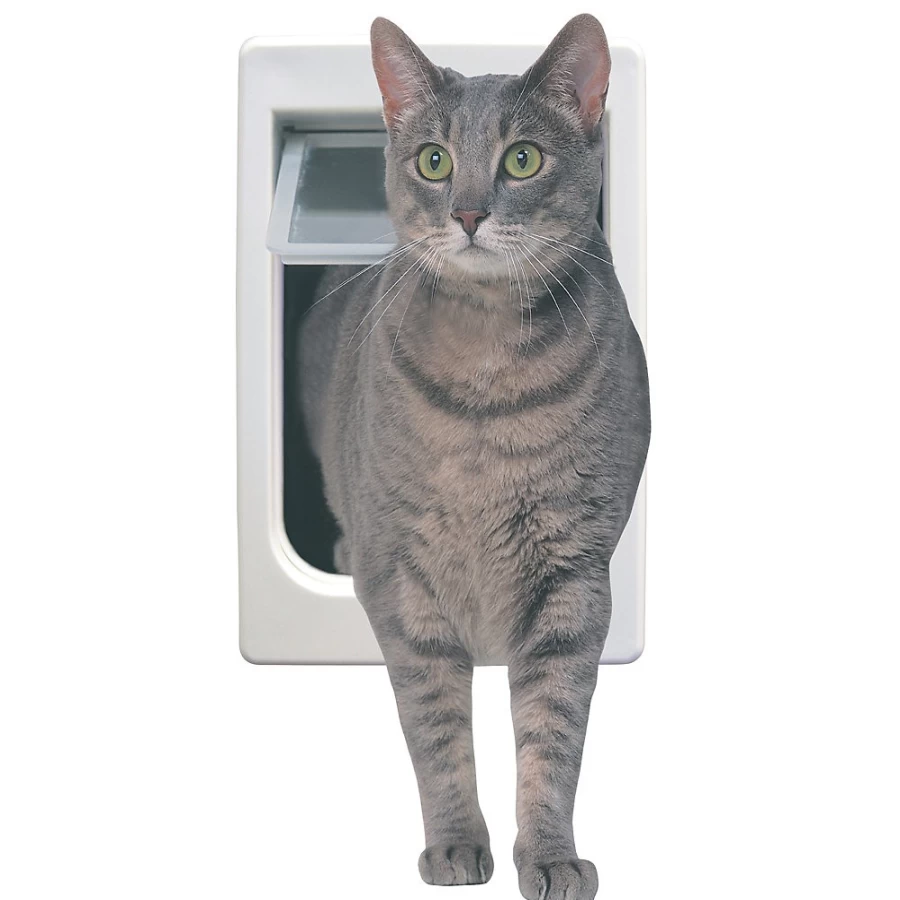 PetSmart 4-Way Adjustable Cat Flap for Doors & Walls – Perfect Pet Entry & Exit Solution