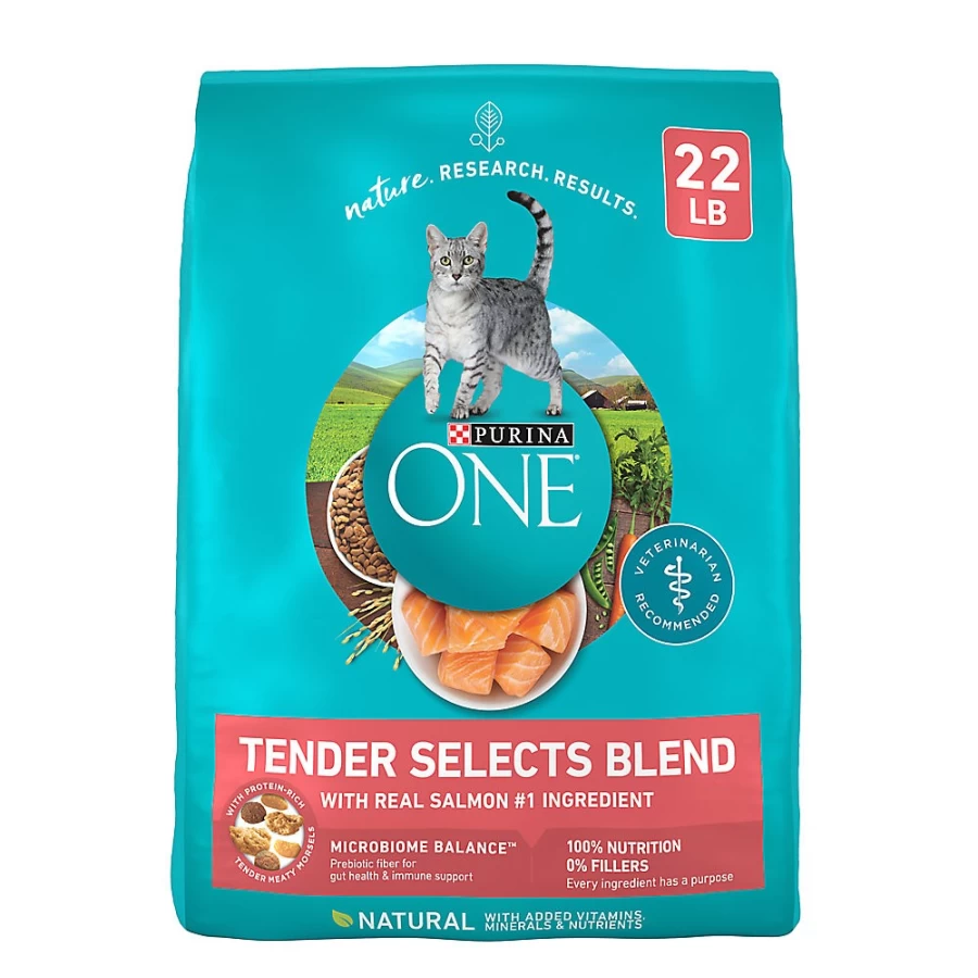 Purina ONE Tender Selects Salmon Dry Cat Food for Adults - Grain Free, High Protein by PetSmart