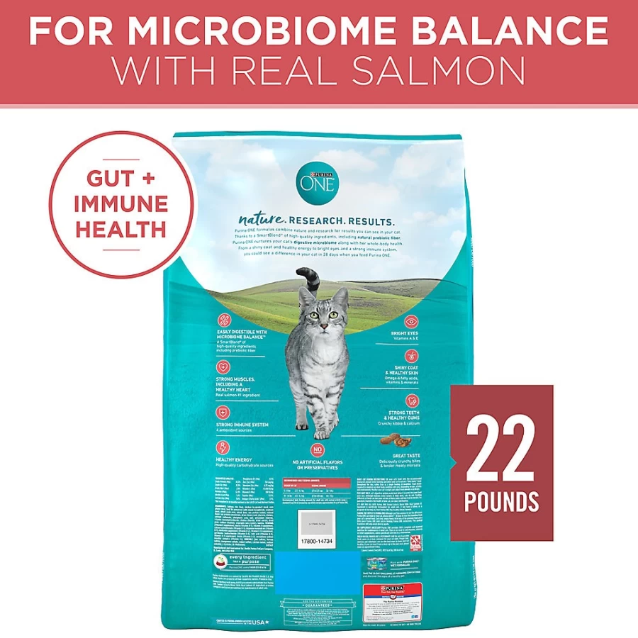 Purina ONE Tender Selects Salmon Dry Cat Food for Adults - Grain Free, High Protein by PetSmart
