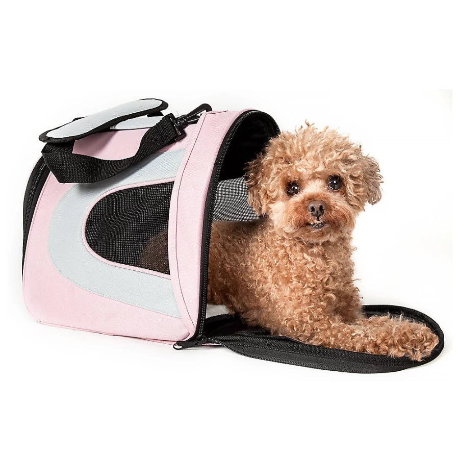 PetSmart Airline-Approved Foldable Mesh Pet Carrier for Dogs & Cats – Lightweight Sporty Design