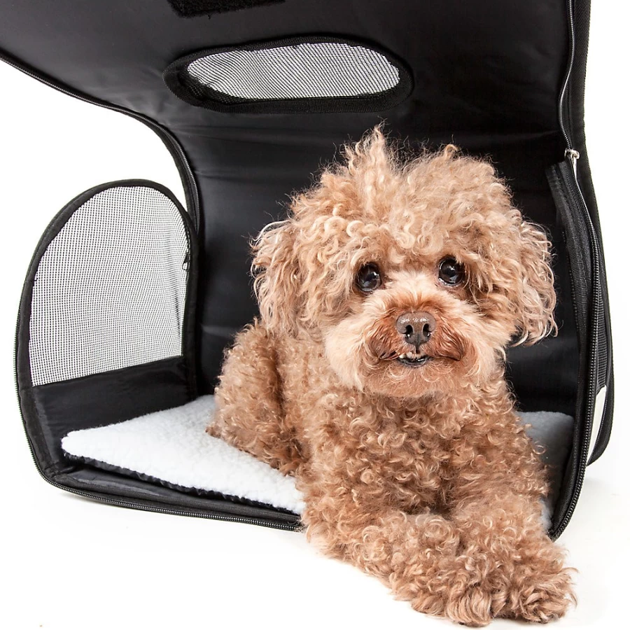PetSmart Airline-Approved Pet Carrier for Travel – Lightweight & Secure Cage for Dogs & Cats