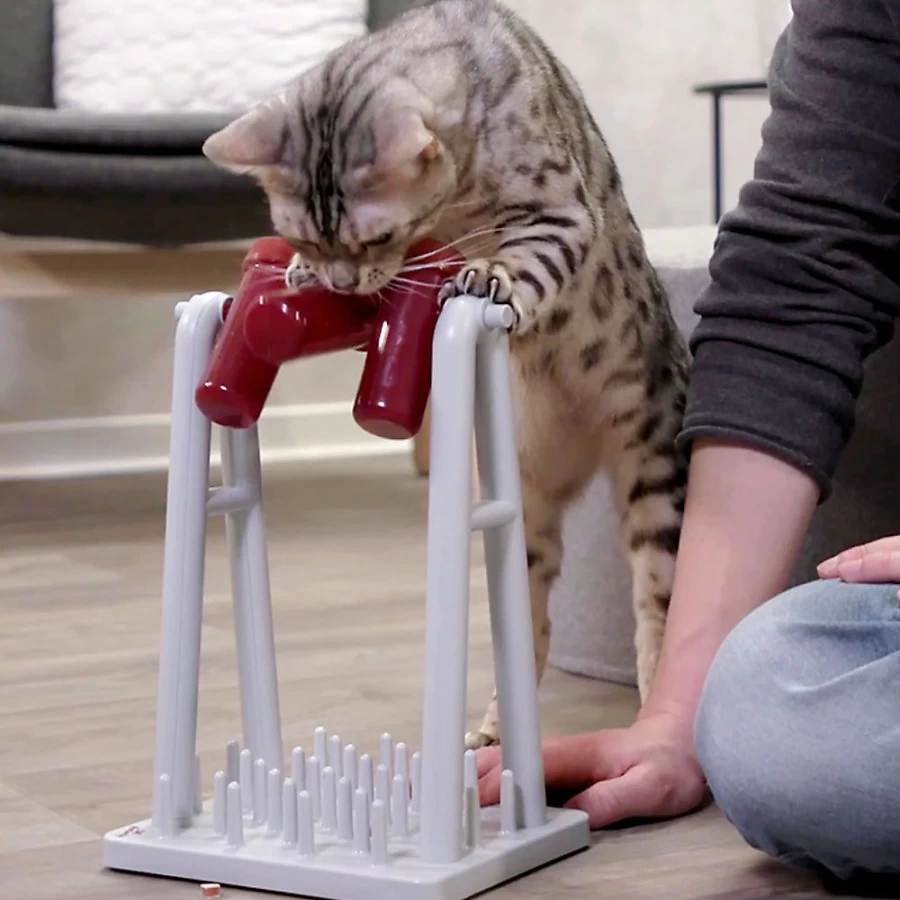 "PetSmart Trixie Mad Scientist Interactive Cat Toy with Beaker for Playful Kittens"