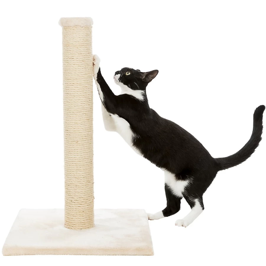 PetSmart Trixie Parla Cat Scratching Post for Indoor Cats - Durable Sisal Fiber & Plush Perch