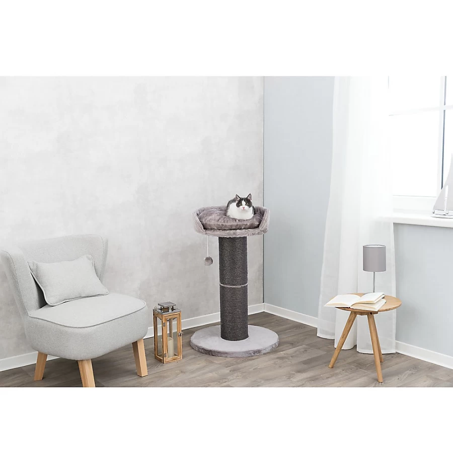 PetSmart Trixie Cat Scratching Post - Pepino Design for Indoor Cats