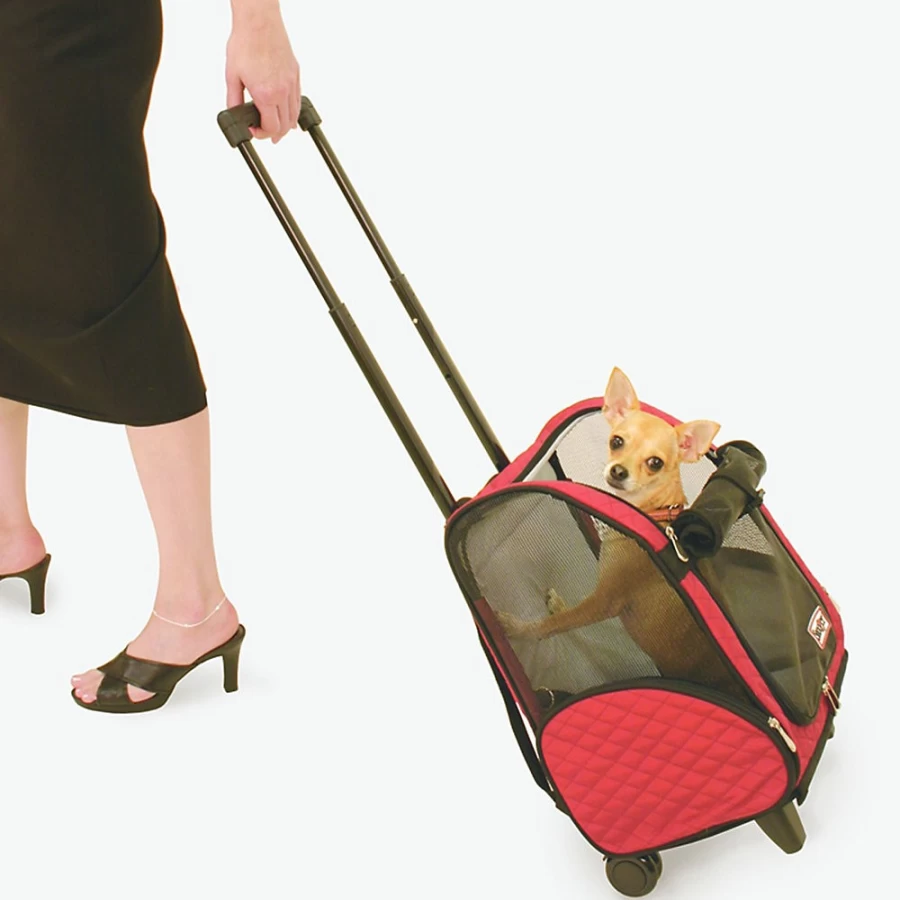 PetSmart Snoozer 4-in-1 Convertible Pet Car Seat, Bed, and Carrier for Dogs and Cats