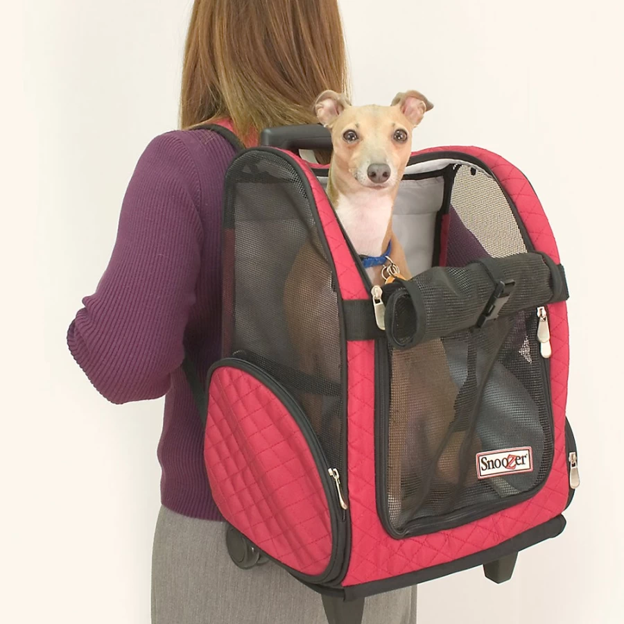 PetSmart Snoozer 4-in-1 Convertible Pet Car Seat, Bed, and Carrier for Dogs and Cats