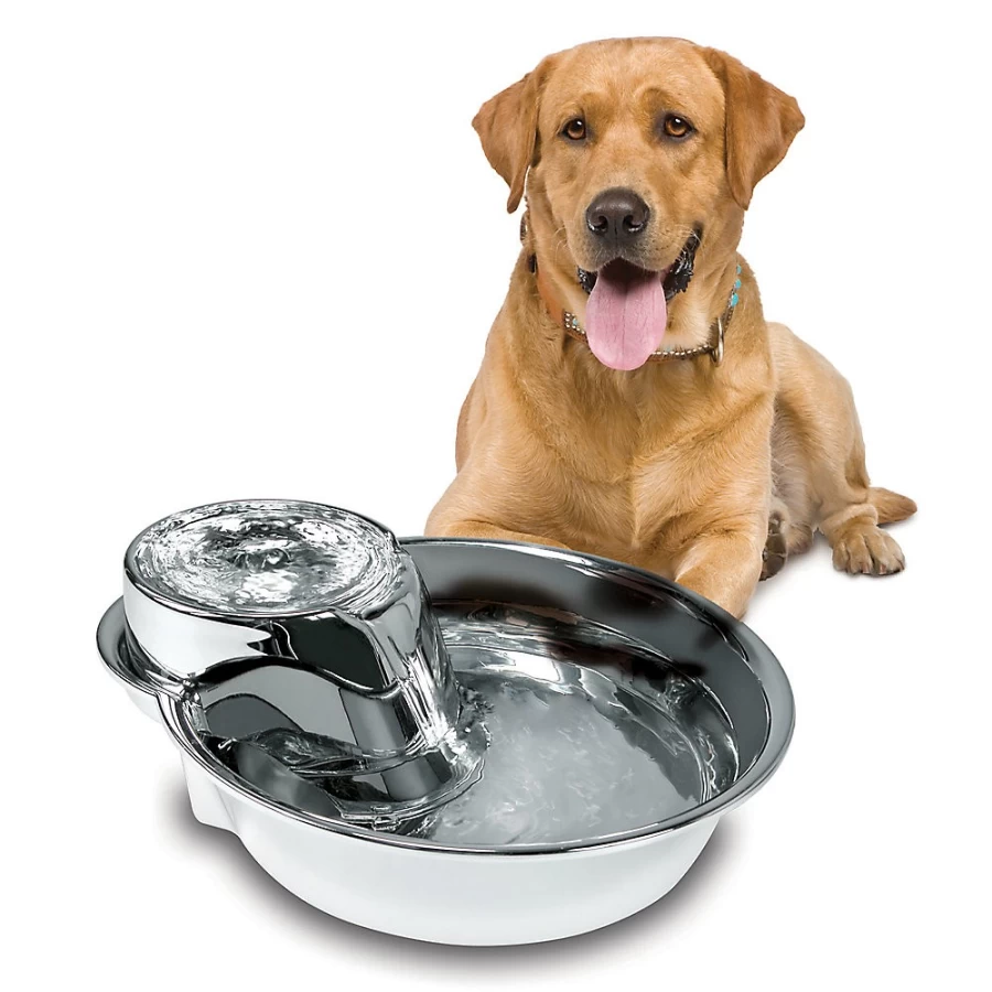 PetSmart Stainless Steel Pet Fountain - Pioneer Pet Big Max Automatic Water Dispenser for Cats & Dogs