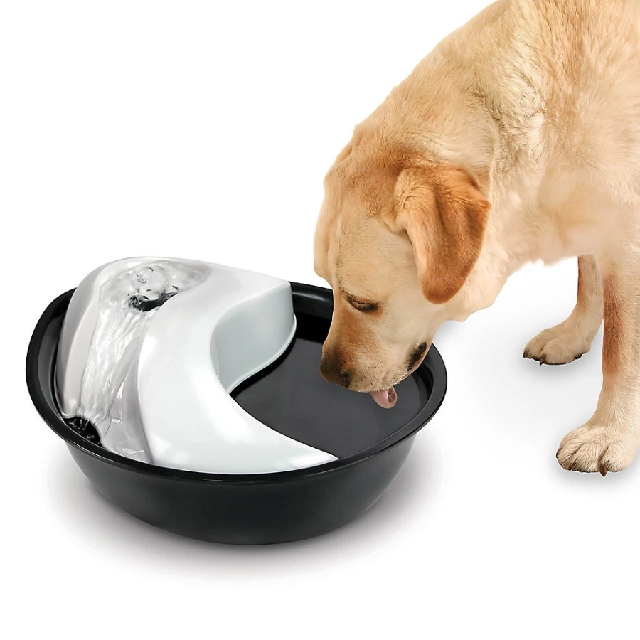 PetSmart Pioneer Pet Raindrop Fountain - Automatic Cat & Dog Water Dispenser for Fresh Hydration