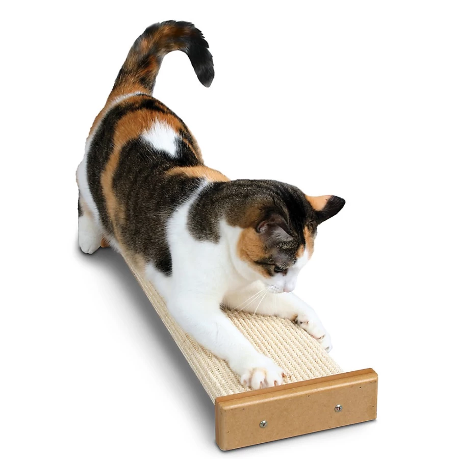 PetSmart Bootsie's Combo Cat Scratcher - Pioneer Pet SmartCat Scratching Post