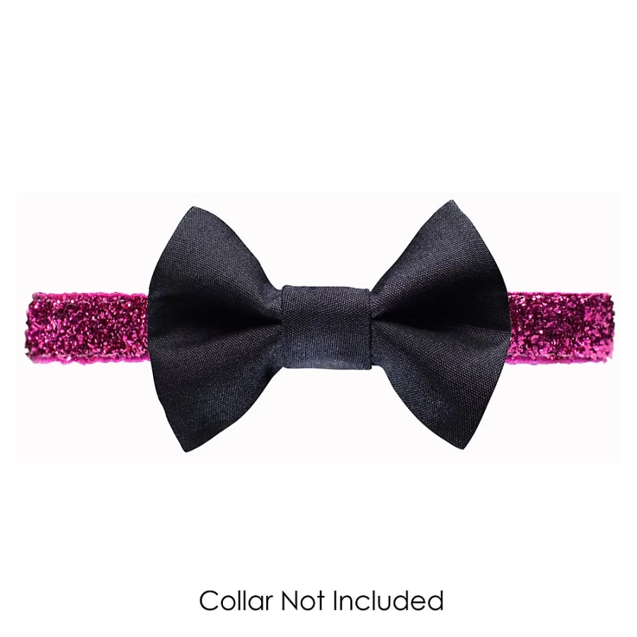 "PetSmart Sweet Pickles Cat Bow Tie - Back to Business Style Pet Accessory"