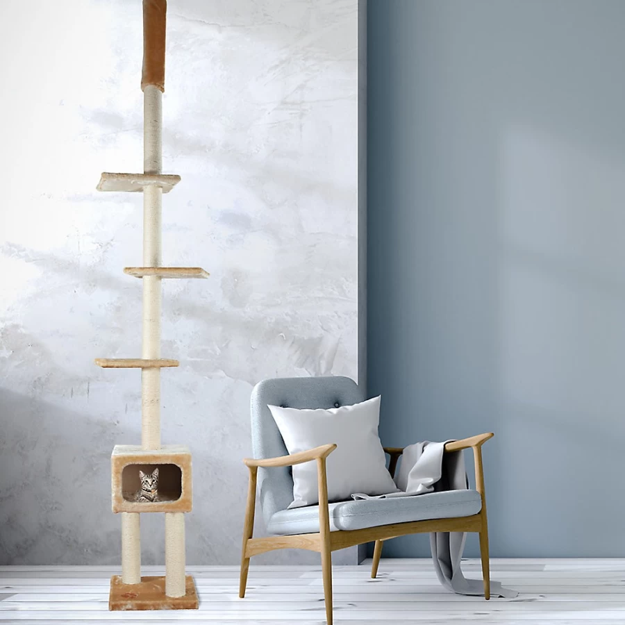 PetSmart Trixie Santander Adjustable Floor-to-Ceiling Cat Climbing Tree for Indoor Cats, Beige