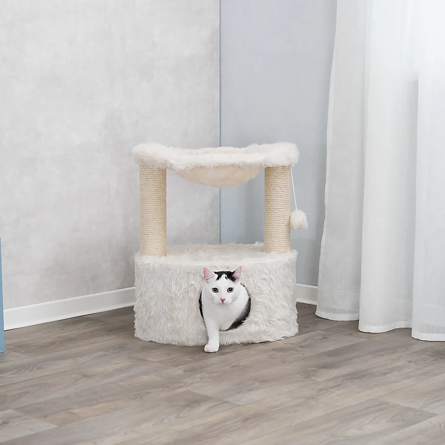 PetSmart Trixie 23-inch Baza Grande Cat Tree with Scratching Posts for Indoor Cats