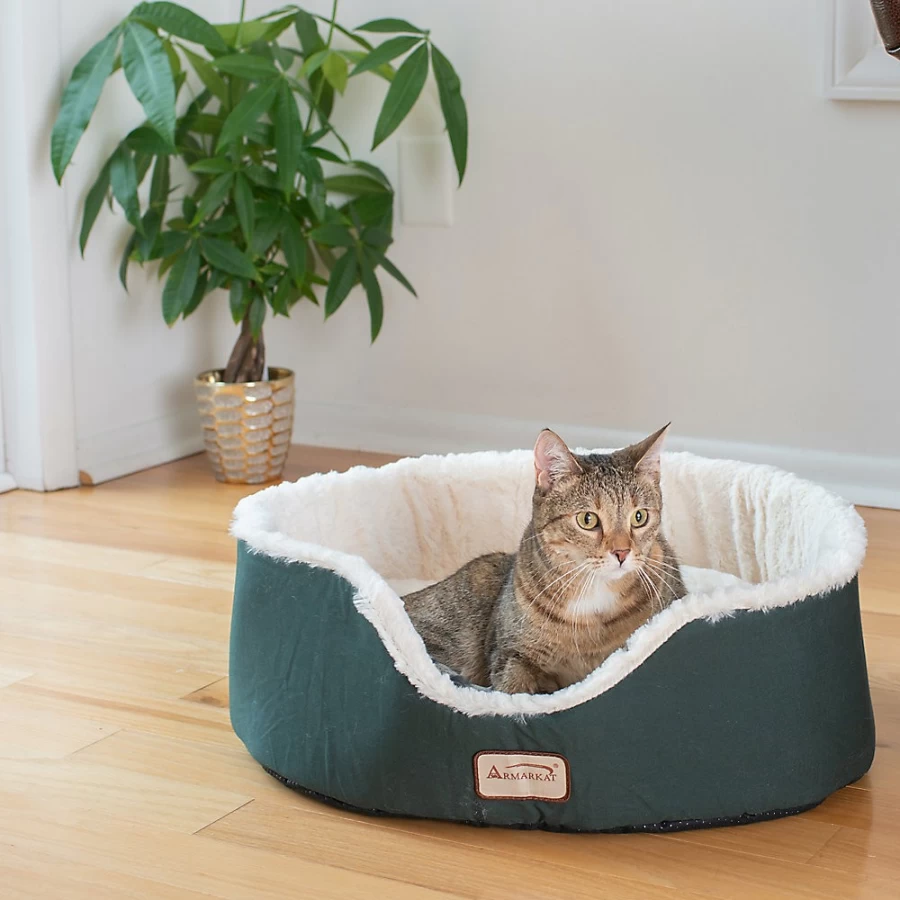 PetSmart Laurel Green Cuddler Cat Bed - Cozy & Comfortable Pet Bed for Cats