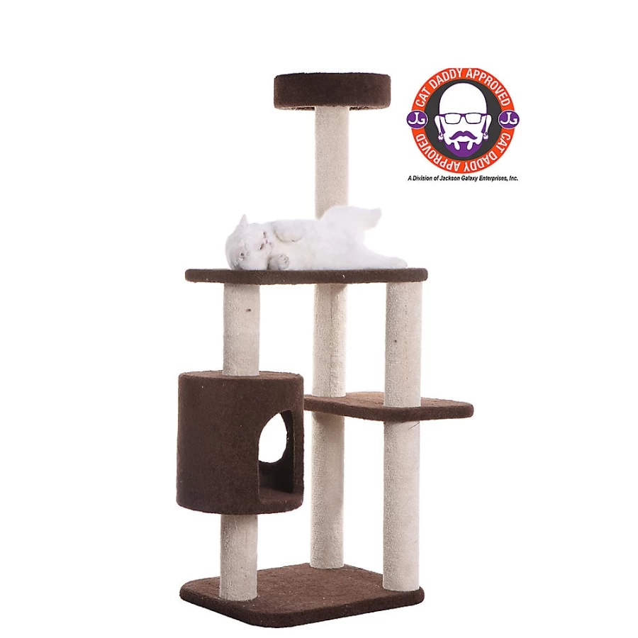 PetSmart Armarkat 54-inch Tall Cat Tree with Real Wood and Plush Carpet in Coffee Brown - Premium Cat Climbing Furniture for Indoor Cats