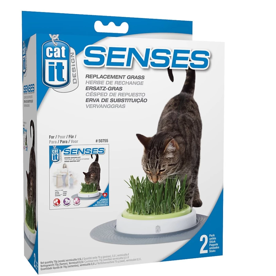 PetSmart Catit Senses 2.0 Cat Grass Garden Refill Kit for Indoor Cats - Fresh Wheatgrass Growing Set