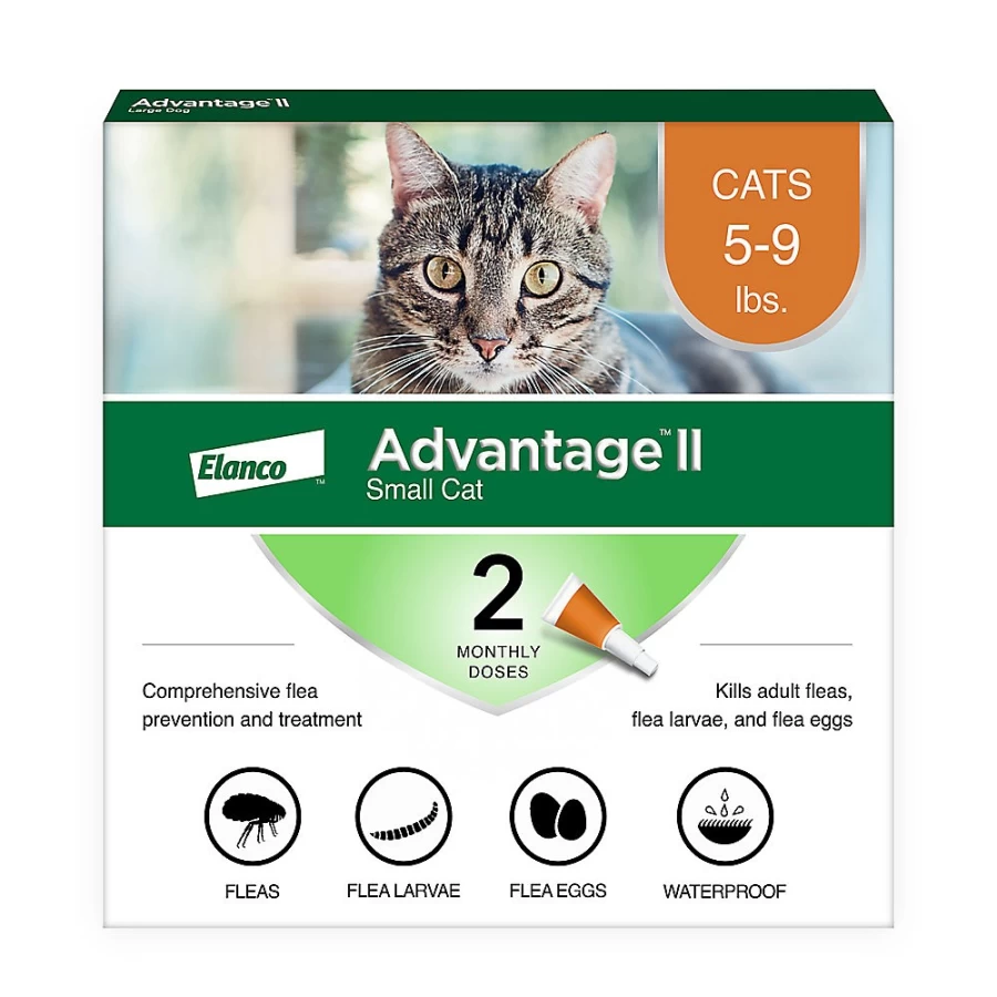 PetSmart Advantage II Flea Treatment for Cats 5-9 lbs – Effective Flea Prevention & Control