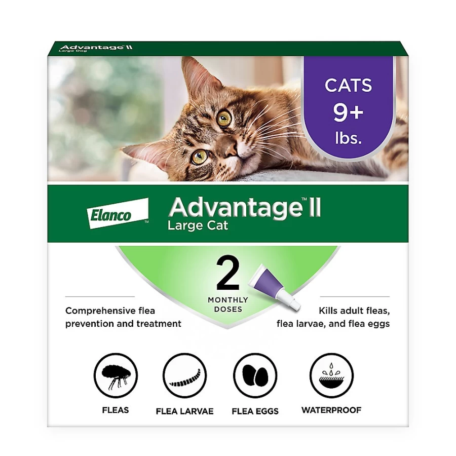 PetSmart Advantage II Flea Treatment for Cats Over 9 lbs - Effective Flea Prevention