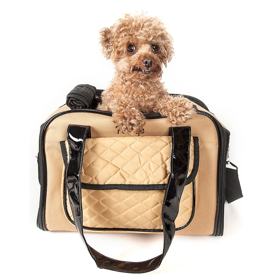 PetSmart Mystique Premium Pet Carrier for Safe & Comfortable Travel