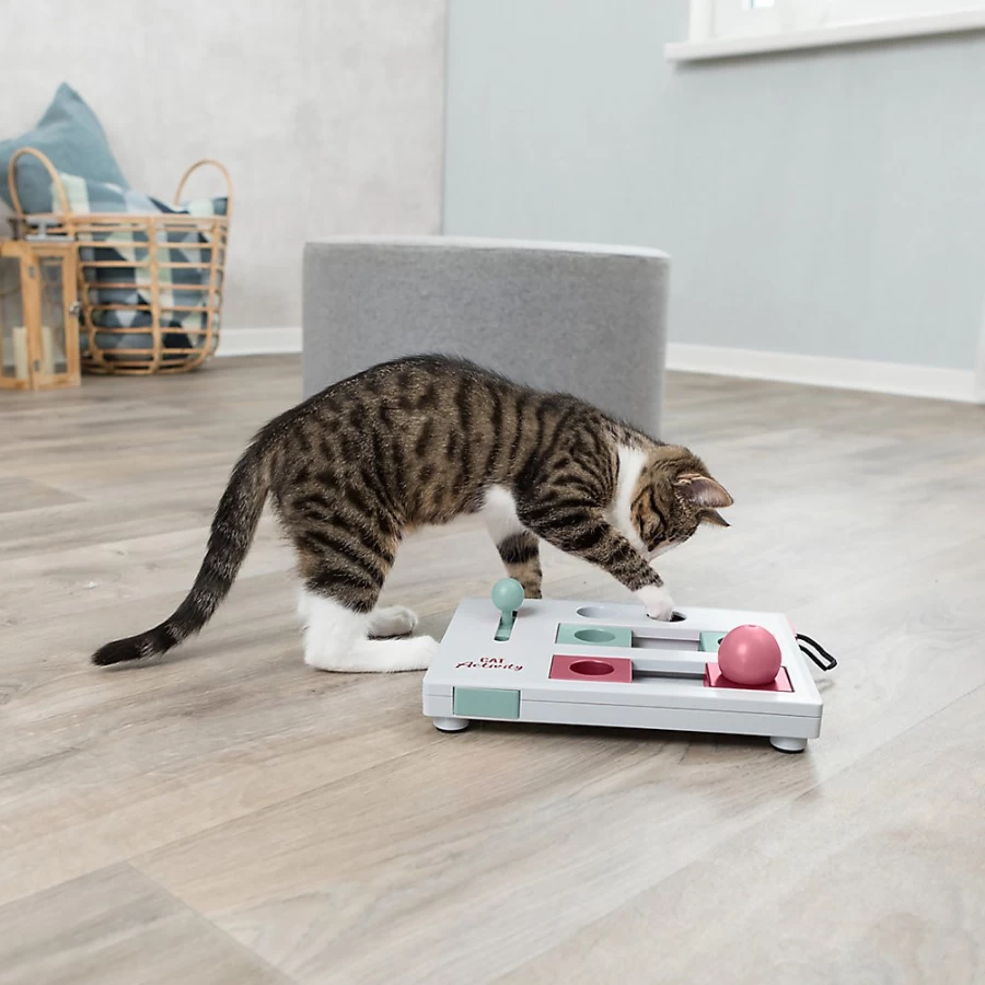 PetSmart TRIXIE Interactive Brain Mover Cat Toy for Mental Stimulation