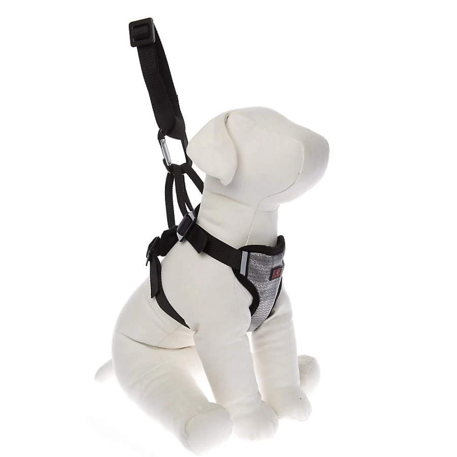 PetSmart Top Paw No-Pull Travel Dog Harness for Safe & Comfortable Walks