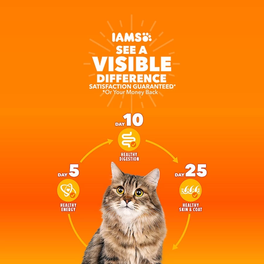 PetSmart Proactive Health Indoor Adult Dry Cat Food - Chicken Recipe for Healthy Cats