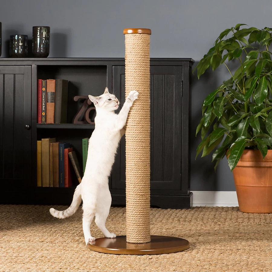 PetSmart Prevue Kitty Power Paws Round Cat Scratcher - Durable Cardboard Scratcher for Cats