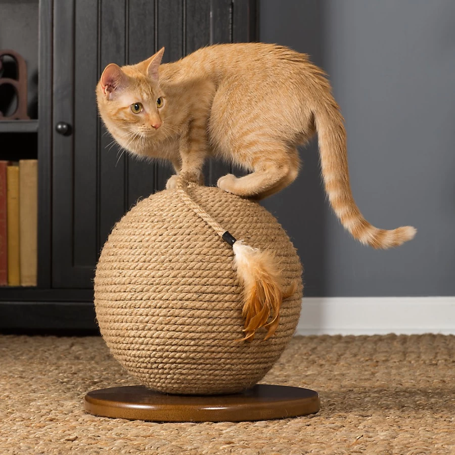 PetSmart Kitty Power Paws Sphere Cat Scratcher by Prevue Pet - Interactive Scratching Ball for Cats