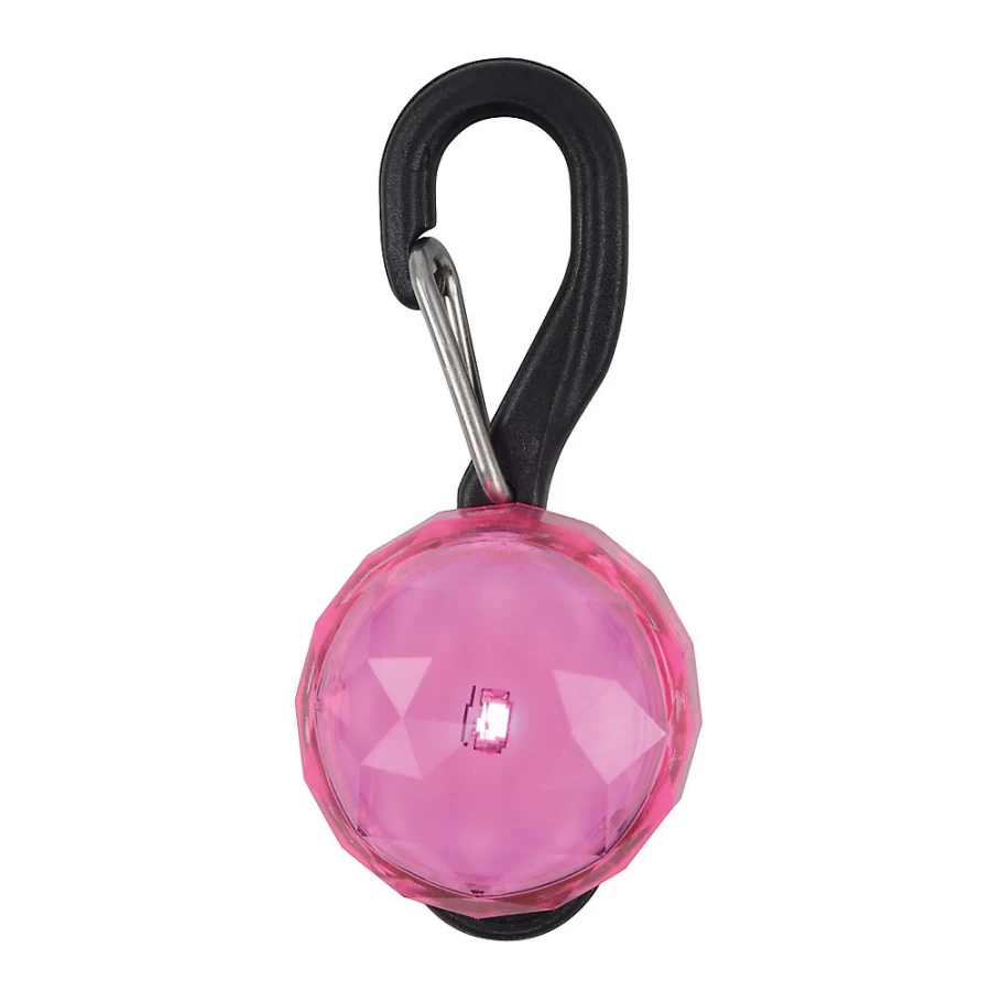 PetSmart Nite Ize PetLittrade LED Dog Collar Light - Waterproof, Rechargeable Safety Collar for Pets