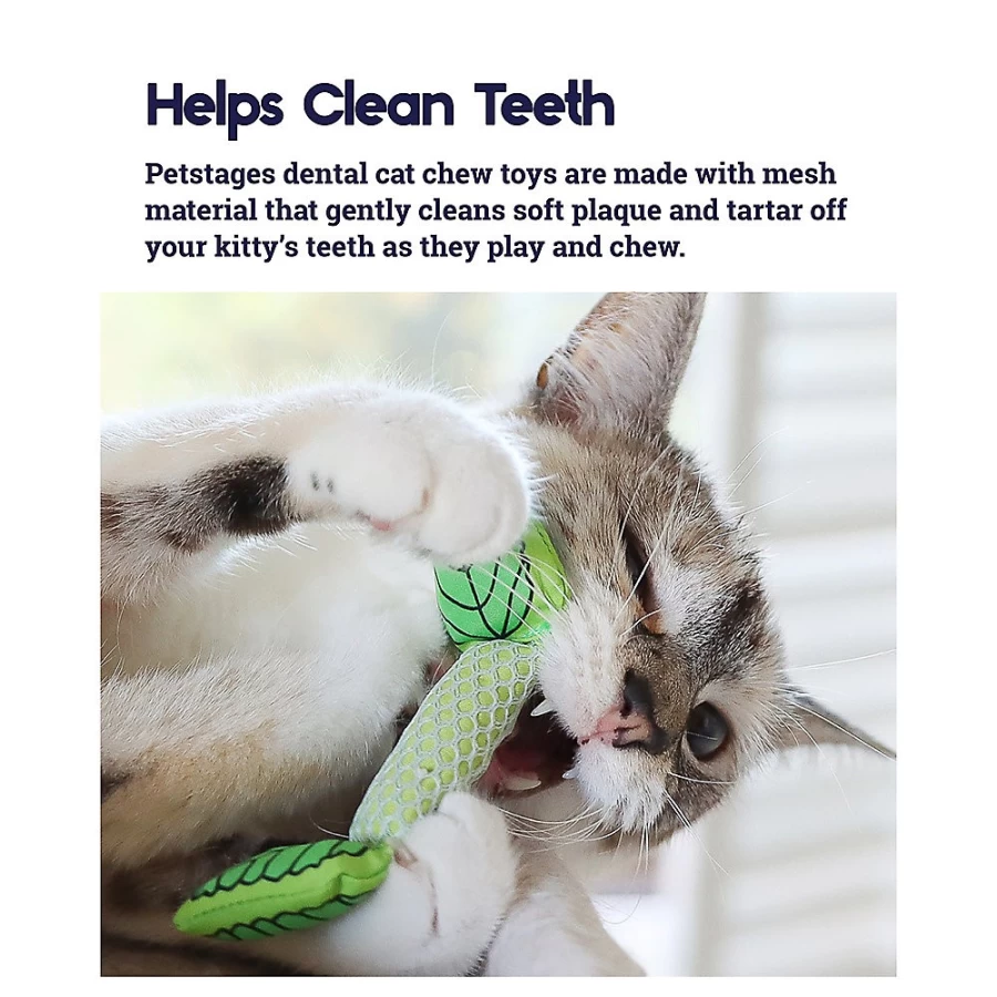 PetSmart Fresh Breath Mint Stick Cat Toy - Dental Chew Toy for Cats by Petstages
