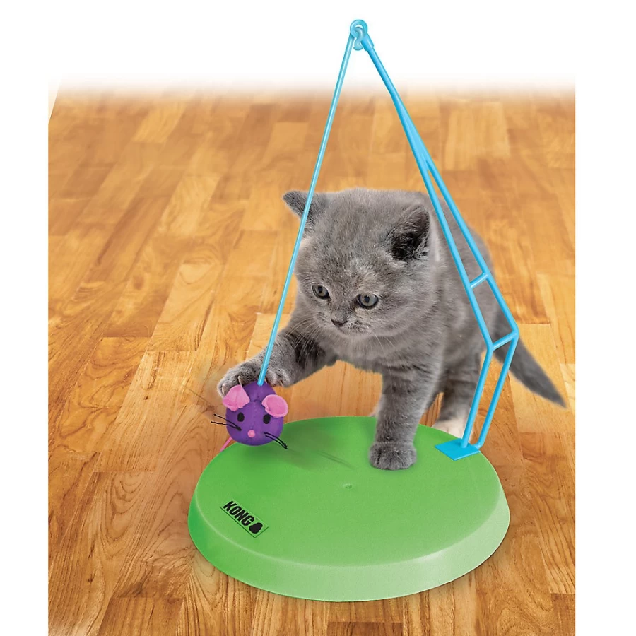 PetSmart KONG Sway N' Play Interactive Cat Toy for Playful Kittens