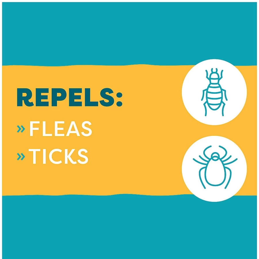 PetSmart Only Natural Pet EasyDefense Flea & Tick Spray for Dogs & Cats – Natural Pest Repellent