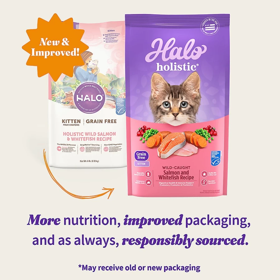 PetSmart HALO DreamCoat Kitten Food - Grain Free Natural Holistic Dry Cat Food with Wild Salmon & Whitefish Recipe for Healthy Skin & Coat