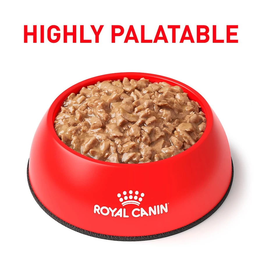 Royal Canin Veterinary Diet Urinary SO Cat Food in Gravy - 3 oz Canned Wet Food for Adult Cats | PetSmart