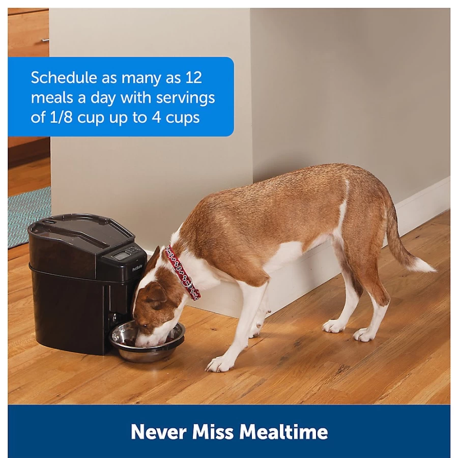 PetSmart Automatic Pet Feeder - Healthy Pet Simply Feed by PetSafe, Programmable Dog & Cat Food Dispenser
