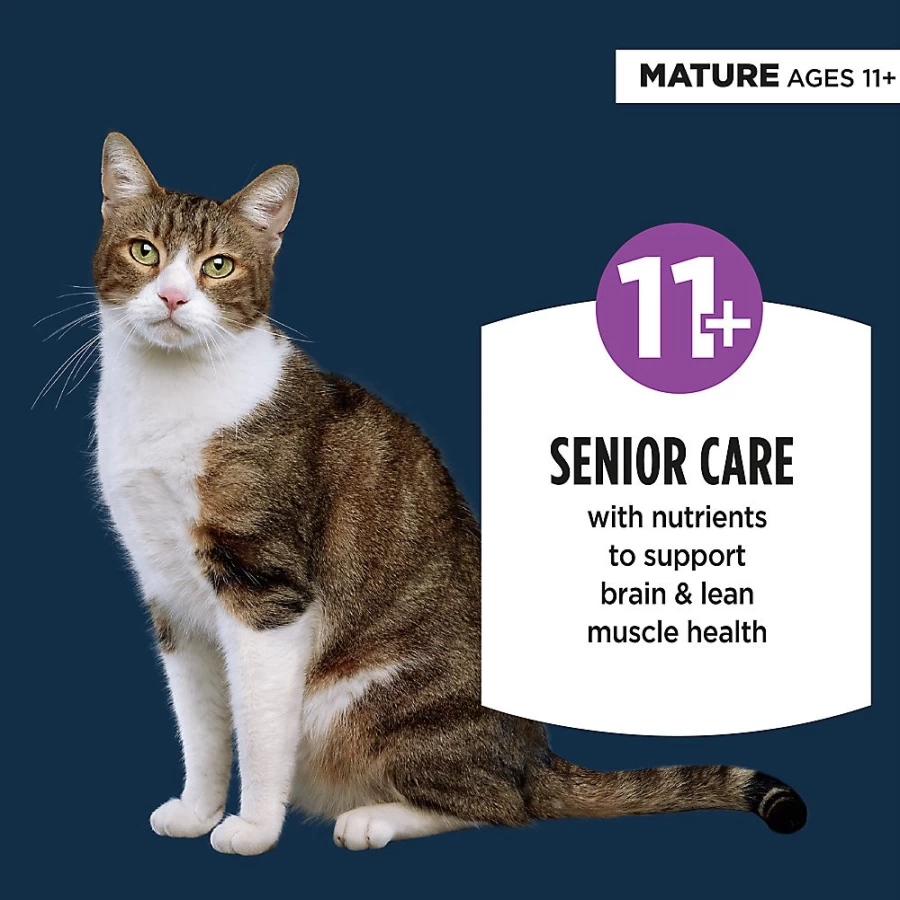 PetSmart Authority Everyday Health Senior Cat Wet Food Pate - 3.0 Oz, With Grains for Mature Cats