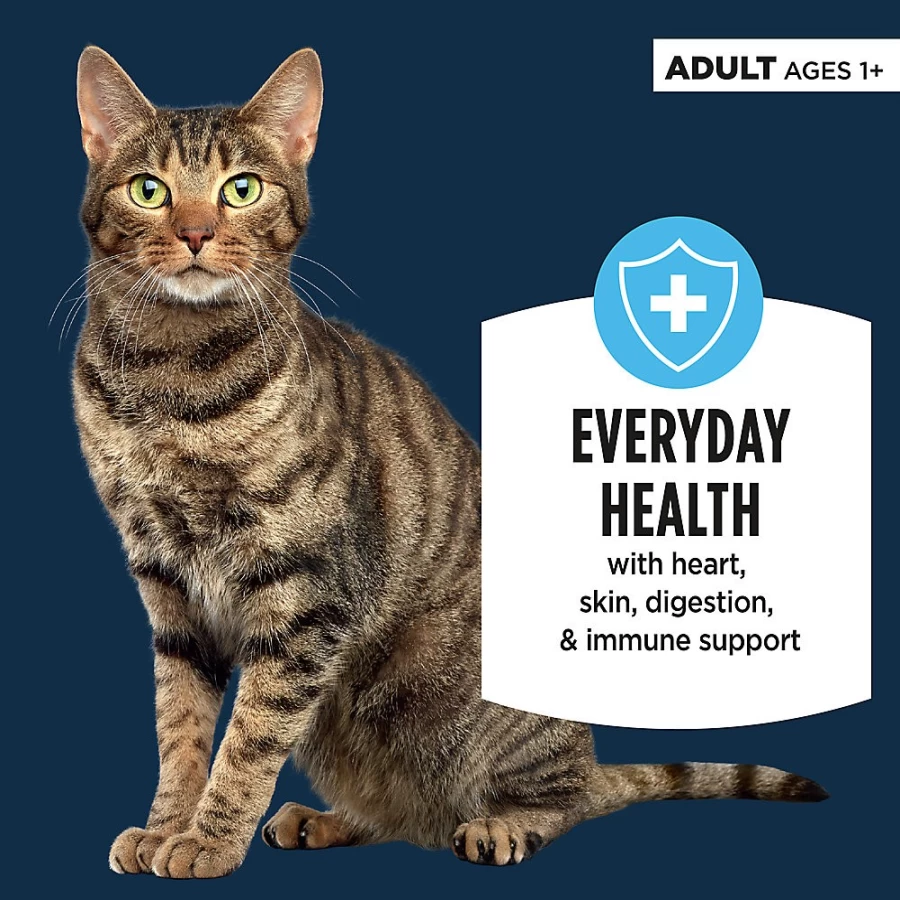 PetSmart Authority Everyday Health Adult Cat Wet Food Pate - 5.5 Oz, With-Grain, Nutrient-Rich Formula