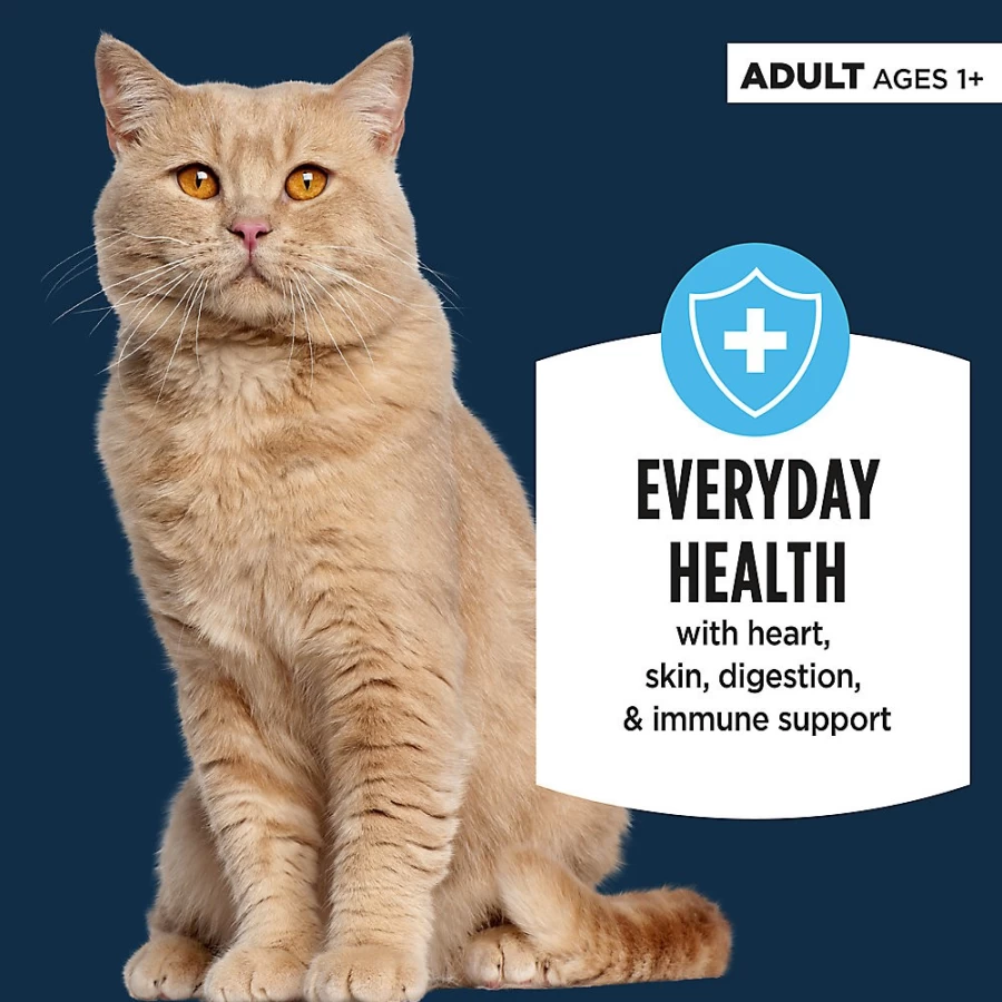 PetSmart Authority Everyday Health Adult Cat Wet Food - 5.5 Oz, Shreds in Gravy, With-Grain, High-Quality Nutrition for Cats