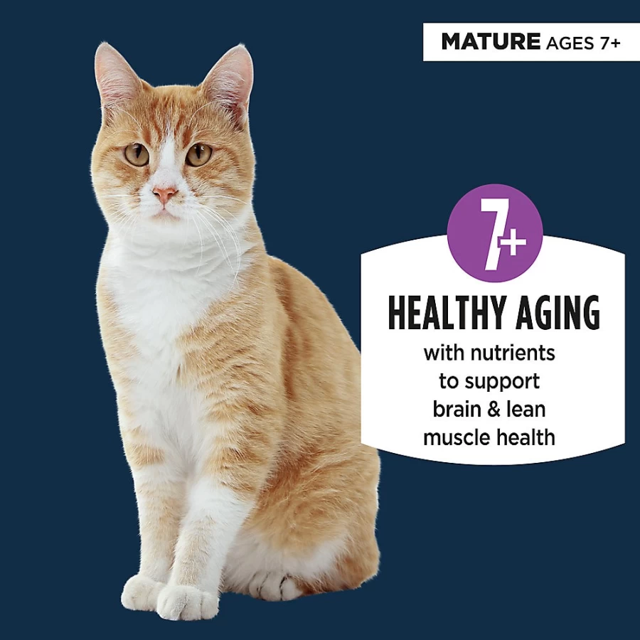PetSmart Authority Everyday Health Senior Cat Wet Food - 5.5 Oz Pate With Grains for Mature Cats
