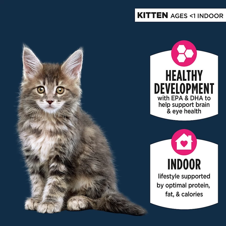 PetSmart Authority Everyday Health Indoor Kitten Dry Cat Food with Chicken & Rice - Grain-Included Formula for Optimal Growth